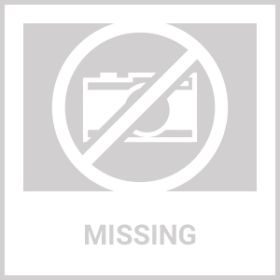 Portable Folding Camping Table With Adjustable Height Rustproof Carbon Steel Foldable Roll-Up Camping Table for Picnic Camping Hiking Beach BBQ (Option: SSizeNoNet)